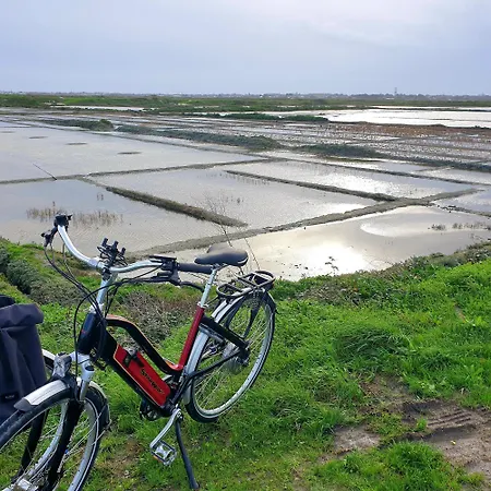 בית נופש Le Refuge Salin Duplex Jardin *