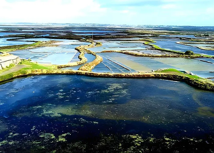 Le Refuge Salin Duplex Jardin בטז-סור-מר