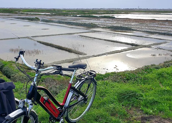 בית נופש Le Refuge Salin Duplex Jardin *